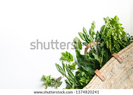 variety of wild edible plants on white background with copy space