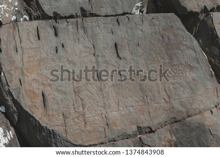 petroglyphs on the rock
