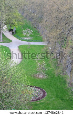 view over public park in springtime with flowering magnolia trees