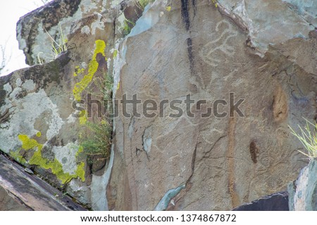 Rock petroglyphs in the tract Kalbak-Tash. Petroglyphs of different historical periods: from the Neolithic to the ancient Turkic era. Altai Mountains, Russia. Russian summer in Siberia.