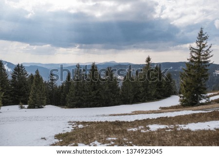 Landscape at the Feldberg in the southern Black Forest in Germany