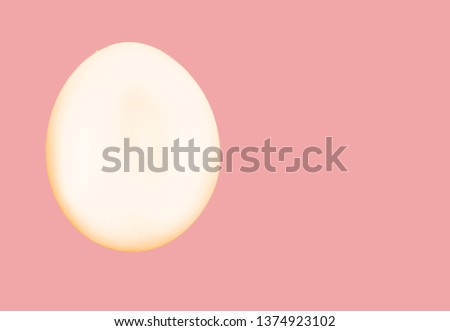 One white egg with gold outline isolated on pink background with clipping path included, copy space