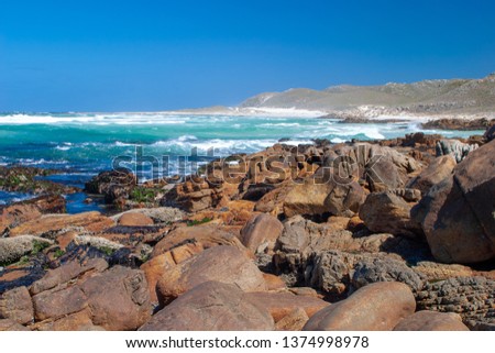 park of cape of good hope cape peninsula cape town south africa 