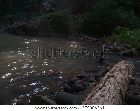 a picture of a piece of wood, water, stone and wild plants like grass