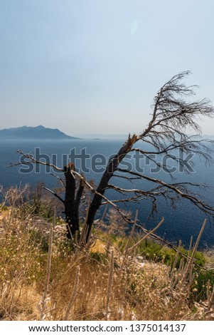 Photo of beautiful Dalmatian coast, Trstenik, Dalmatia, Croatia, Peljesac peninsula
