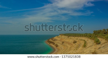 beautiful panorama scenery landscape of dead sea terrace waterfront and palm garden plantation in Middle East Israel country side environment 