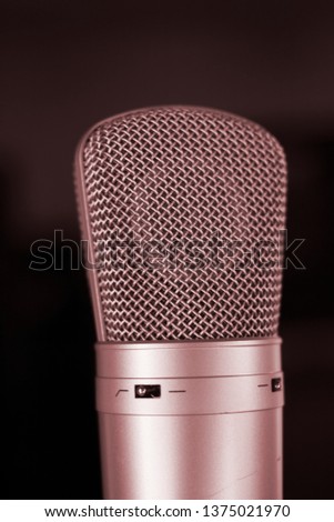 Sound recording studio large diaphragm voice microphone for voiceover, singing and instruments.