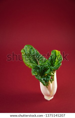 Beautiful brassica rapa on a burgundy background, pak choi on a colored background, bok choy on a burgundy background