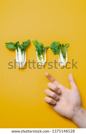 Hand shows gesture beautiful brassica rapa on a yellow background, pak choi on a colored background, bock choy on a yellow background