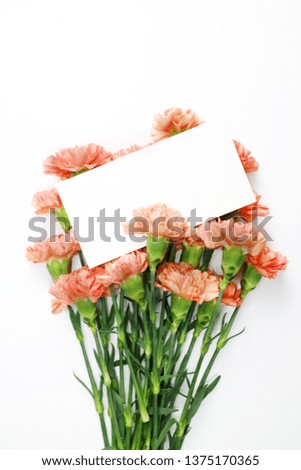 beautiful coral color spring flowers, carnations, roses, moss background
