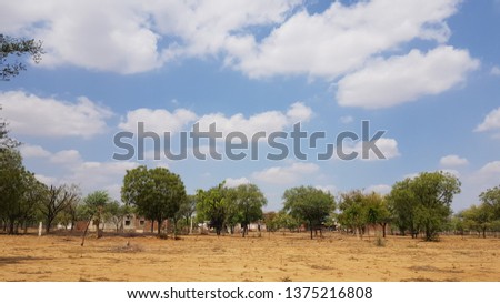 cloudy sky with empty field and tree.