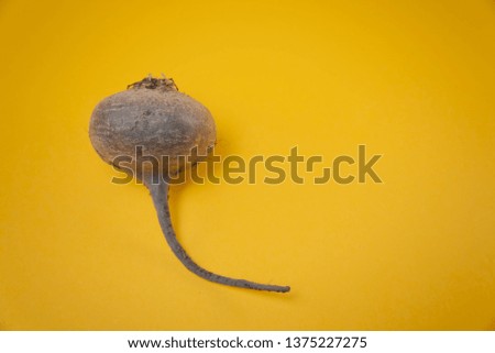 Beautiful beets on a yellow background, a root crop on a colored background, a vegetable lies, a composition with a root crop of beets