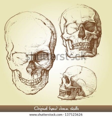 Original hand drawn skulls