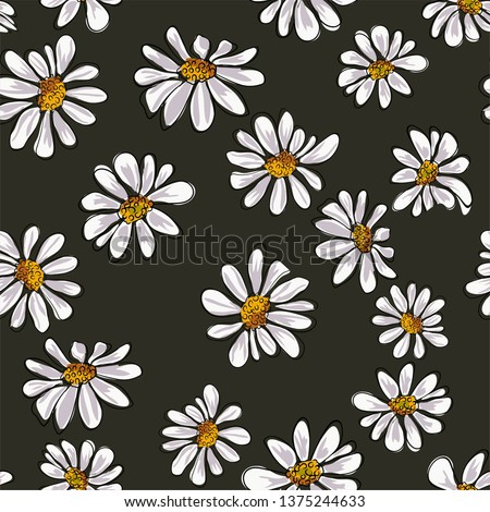 Floral flower background with daises chamomiles. Vector