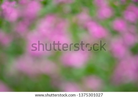 Blurred purple flowers background for design.