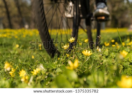 bike rides along the way with flowers.