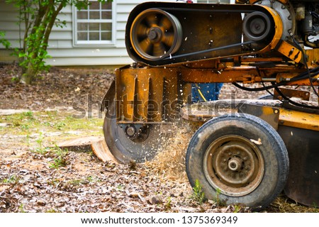 A Stump Grinding  Machine Removing a Stump from Cut Down Tree Royalty-Free Stock Photo #1375369349