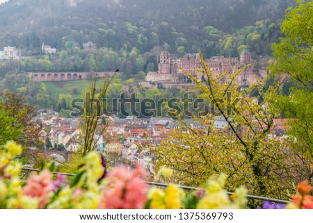 Panoramic view of Heidelberg from Philosophers gardens. Colorful flowers in the foreground, the mist covering the hills, ancient castle, old town. Baden-Württemberg, Germany