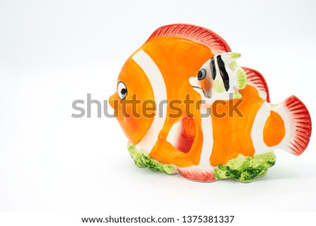 Clown fish on white background