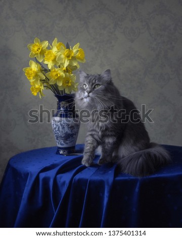 Still life with bouquet of yellow daffodils and adorable kitty