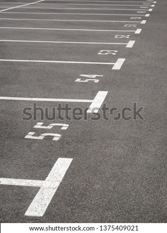 Large numbered parking space on top. Lines on gray asphalt. Number 55