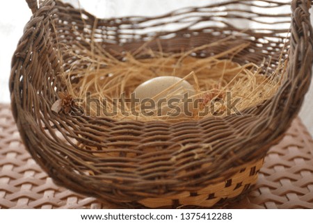 birds nest eggs and incubates