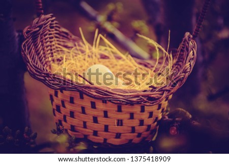 Bird's nest and eggs, birds reproduce with eggs