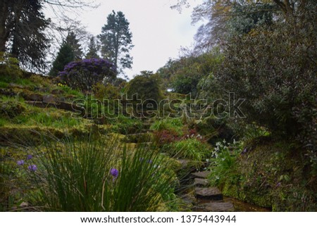 beautiful meadow, natural landscape with wooden steps in the centre of the picture