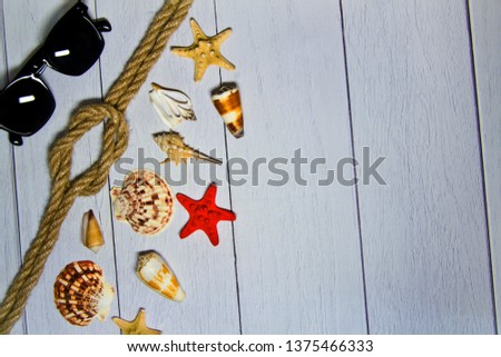 Different marine elements on a light wooden background. Marine objects on wooden boards. Place for text
