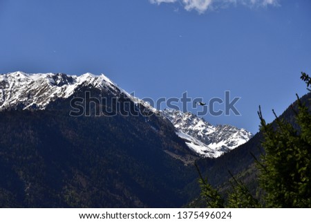 Picture of airplanes in the blue sky over Valtellina mountains