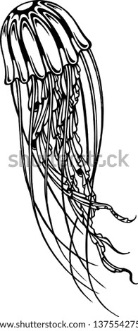 Hand-drawn tropical jellyfish tattoo style vector art. 