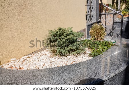 green plants and little stones. Nature background. Decor for the back yard of home.