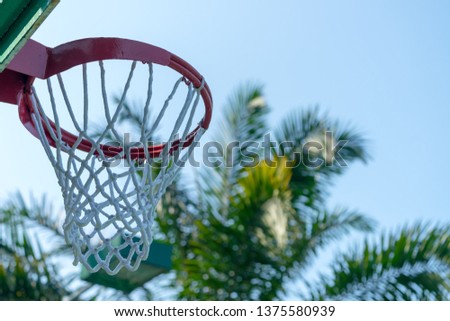 Close up of basket ball hoop against palm trees selective focus