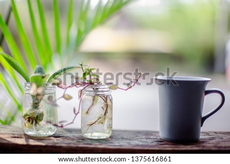 Blurred background of decorative items in restaurants, coffee, bakery, home and garden decoration (glass, vase, wood counter, wooden chair) for customers to take pictures and stop during travel.