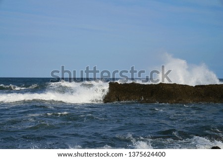 Waves on the seashore.