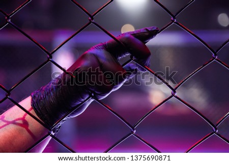 Rear view of a referee holding a black-gloved hand on a metal grid in an octagonal scene. Male judge in mixed martial arts at MMA tournaments. A concept of justice, rules for sporting events