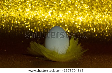 Egg on yellow feathers and golden background. Horizontal image.