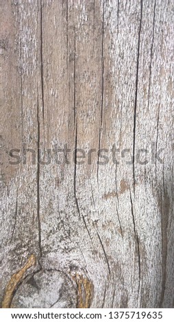 background wood brown white branch old tree vintage Royalty-Free Stock Photo #1375719635