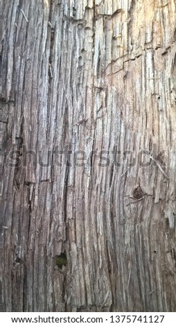 background wood oak old branch vintage shabby Royalty-Free Stock Photo #1375741127