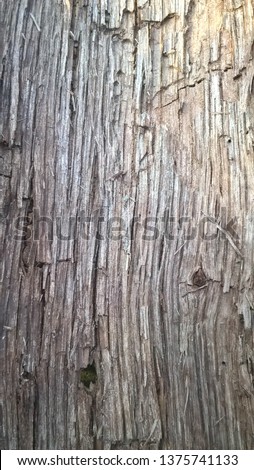 background wood oak old branch vintage shabby Royalty-Free Stock Photo #1375741133