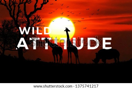 A picture of word wild attitude with a group of giraffes.