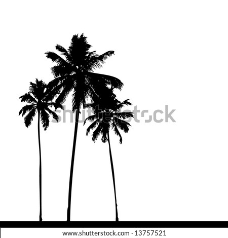 Palm tree silhouette black