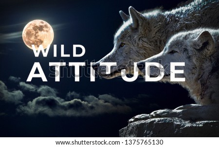 A picture of word wild attitude with two wolves.