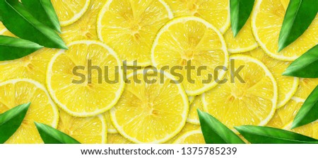 Sliced juicy lime on a gray background. Fresh fruits. Fruit background. Summer party. Birthday. Bright colorful.