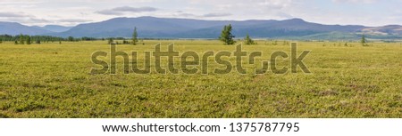 Panorama of the tundra in the natural Park on Taimyr. Summer landscape in the polar Urals.