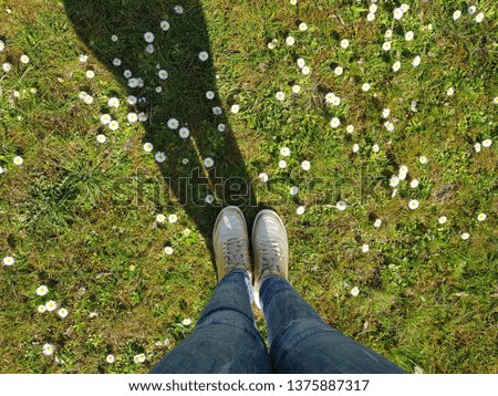 feet on the grass and a lot of daisies, Sunny day