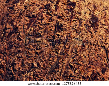 Textured brown coconut shell.