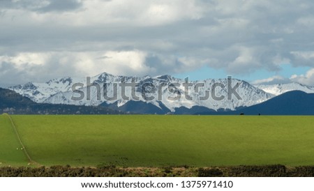 gigantic snow mountains and greenery fields with sheep