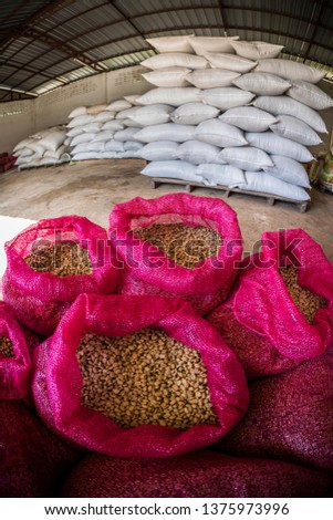 Raw Coffee Bean in bag,storage warehouse,coffee industrial.