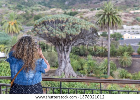 A tourist woman takes pictures with her mobile phone to the great millenary tree called Drago. Village of Icod de Los Vinos, island of Tenerife.